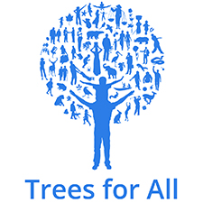 trees for all teambuilding Exeter